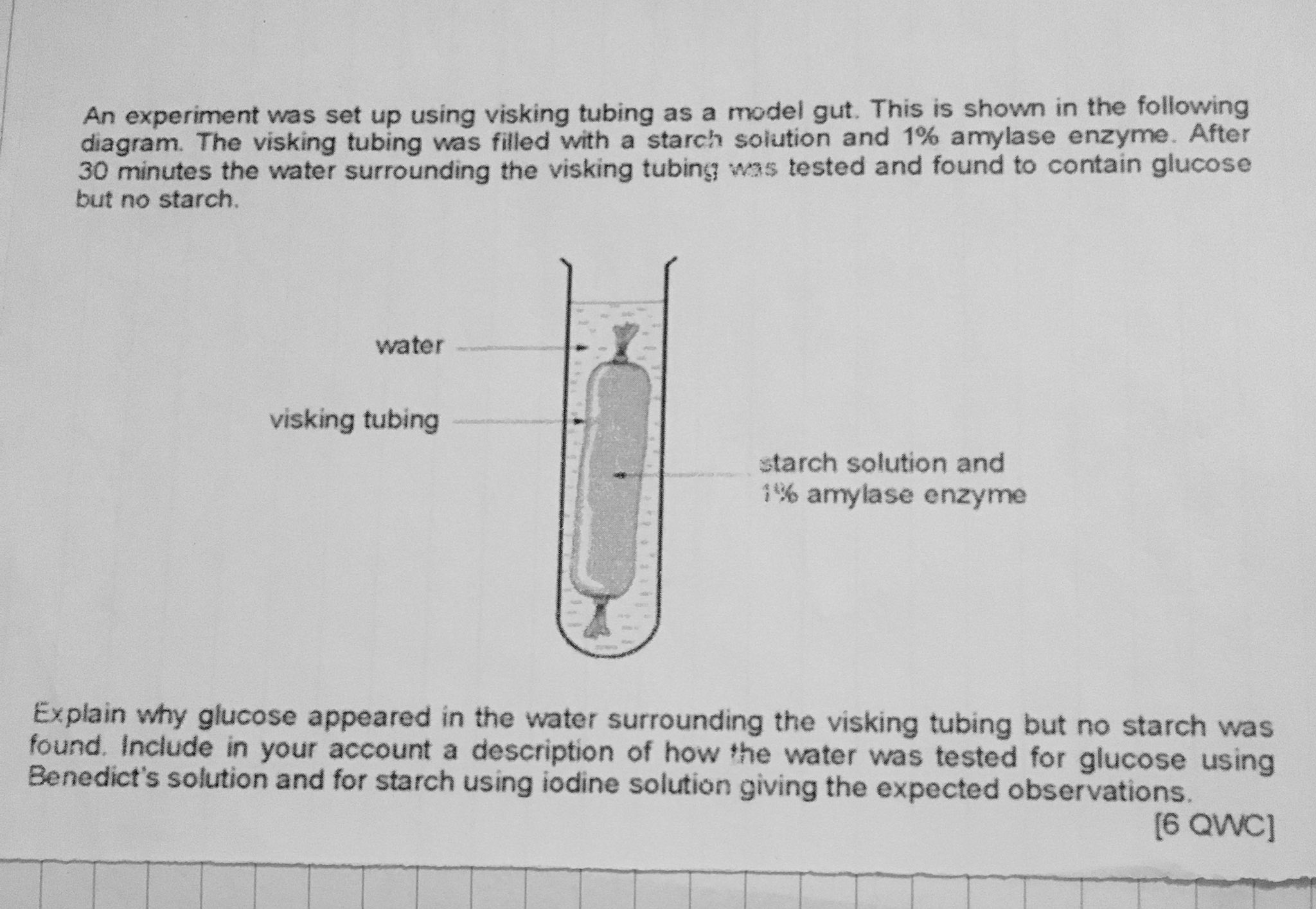A student investigated the diffusion of substances through visking tubing,  an artificial membrane which has - Brainly.in
