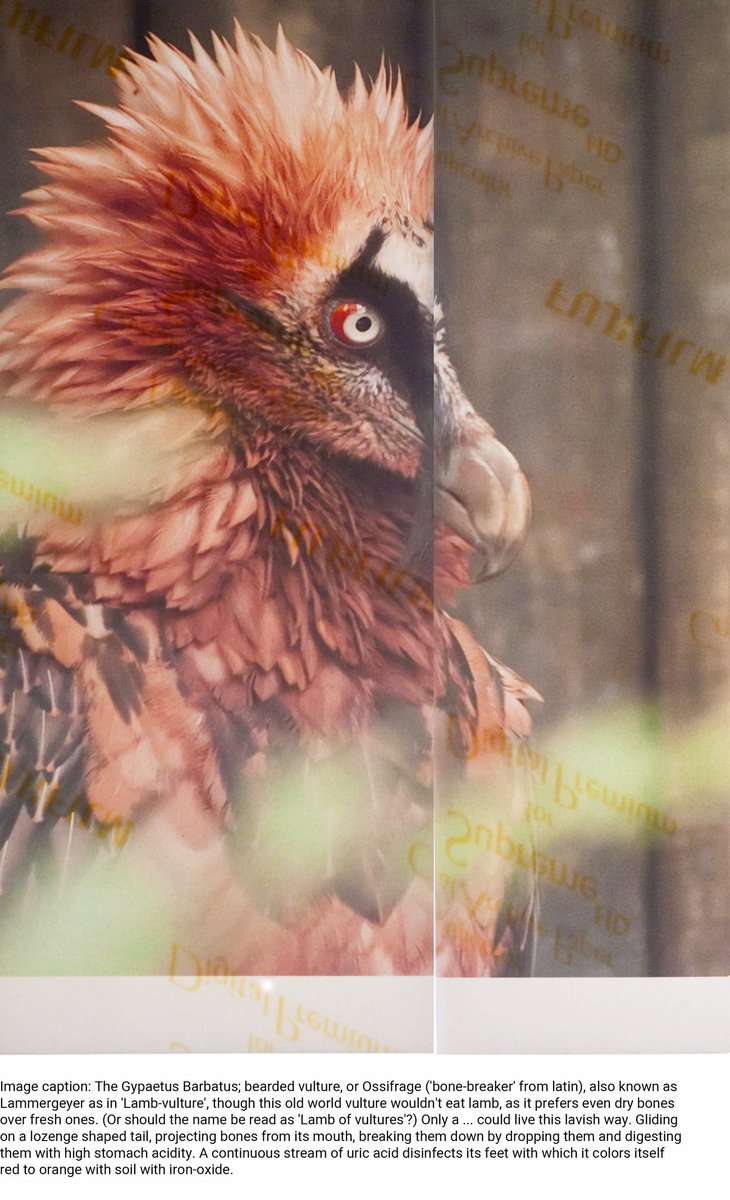 Prefixes "for" and "to": The way you customize your uniform | Temra Pavlović
Inauguración 13 de diciembre de 7 a 10 PM.
-
Opening December 13 from 7-10 PM.