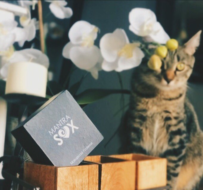 mantrasox's tweet photo. Here’s a bit of PURR-suasion🐈 to Buy a pair of Our MantraSox  this holiday season: it will give you some PAW-sitive🐾 vibes, whether you’re working out or lounging around. Choose motivating words like GRATEFUL, BREATHE &amp; BE LOVE | #MantraSox #Cat #yoga #pets #fitfam https://t.co/XvqkXBYskZ