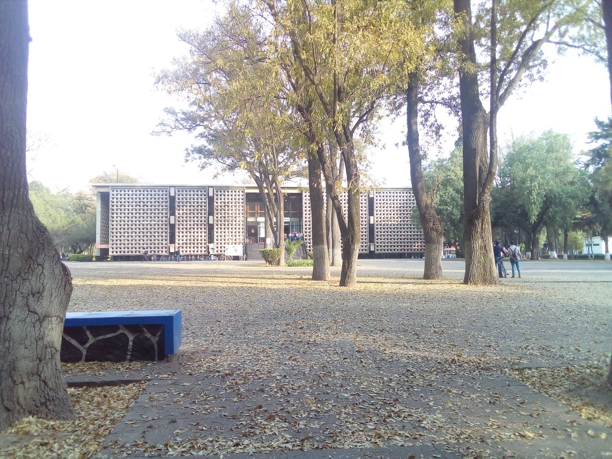 forestal_manuel's tweet photo. #Chapingo biblioteca central https://t.co/PDkh89sgqg