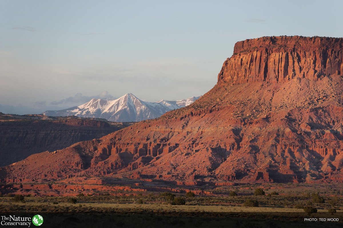 nature_org's tweet photo. We are the largest private landowner in #BearsEars National Monument. We are deeply disappointed &amp; concerned w/ the Administration's decision to shrink these monuments. And we have our reasons >>> https://t.co/nwxeyv57l2 https://t.co/nBL6DMSPX9