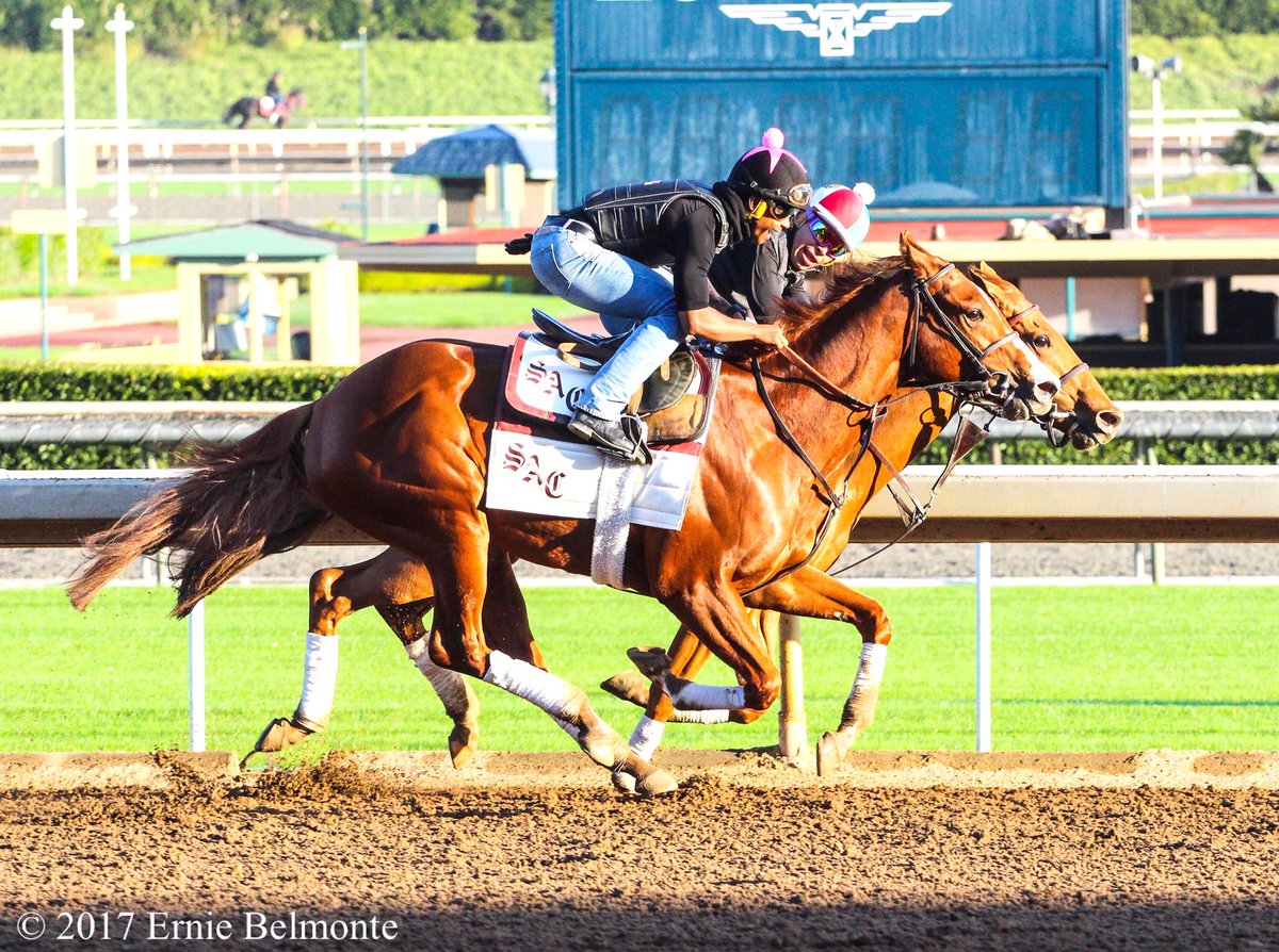 Simon Callaghan (simon_callaghan) Twitter