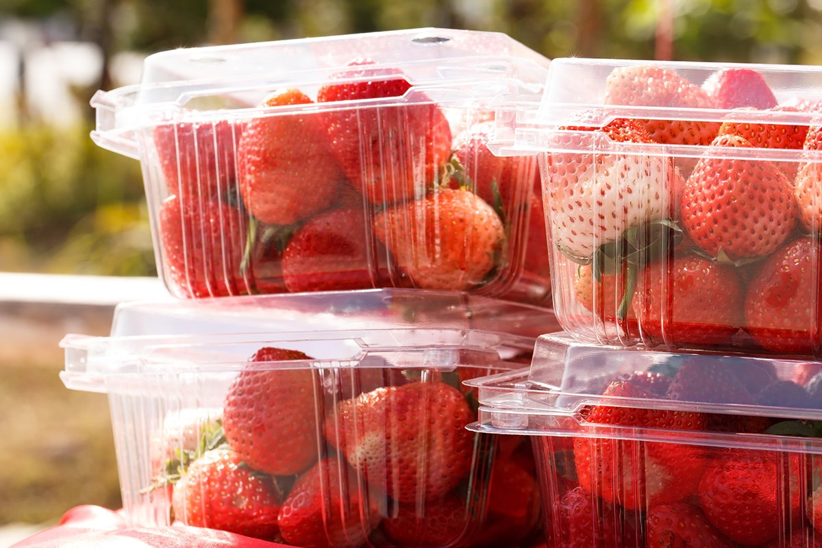 ImperialPacking's tweet photo. Can Packaging Design Influence the Taste of Food and Drink?
https://t.co/YiSZyMLMkz
#Imperialfoodpacking #foodpacking #packing #Contractpackinginuk https://t.co/LW2sGryimC