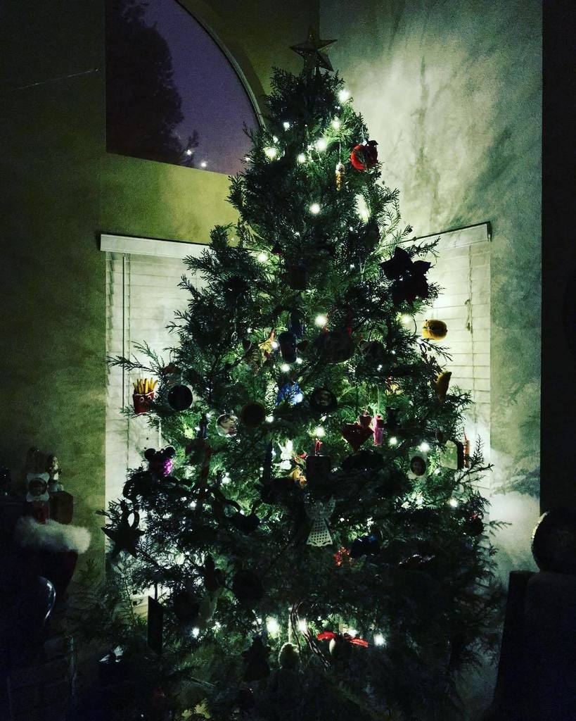 MelodicEx's tweet photo. O Christmas Tree 🎄
.
.
.
.
#christmastree #light #christmas #tree #christmastime #christmas2017 https://t.co/JFob9uBjxR https://t.co/KOaRzOmcsi
