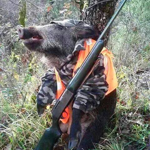 Foto colgada en su FB por un cazador con este texto (literal): "Hesto es la guerra jaja".  Una fotografía y cinco palabras son suficientes para comprobar cómo quien mata por diversión, alarga su placer enfermizo a costa del cadáver de su víctima. #Caza = #Violencia + Trastorno