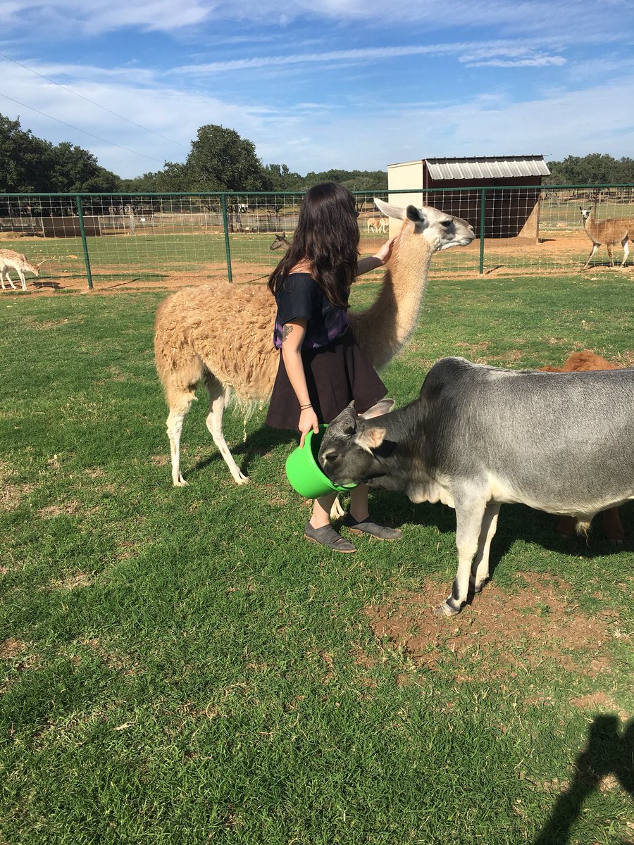 JoeProvenza's tweet photo. Today marks the 24th consecutive year @emrosewinkler has been alive and tended to the farm. I wonder which animal she will want to eat for her birthday celebration! https://t.co/w7JbFEoOcs