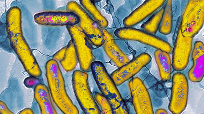 BioAspect's tweet photo. Scientists just added two functional letters to the genetic code. https://t.co/4E65fUs2Nb https://t.co/DZAX5CBCDQ