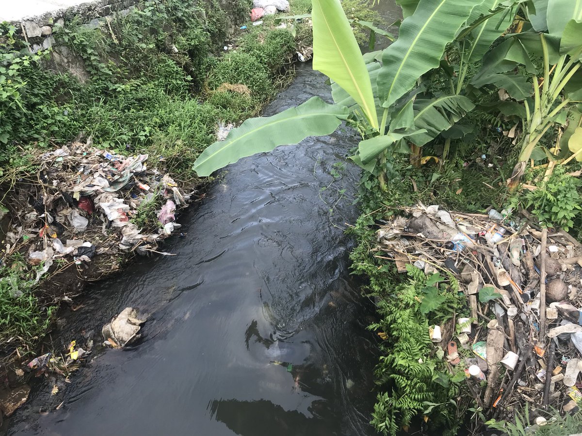 Silvia Handoko tweet media