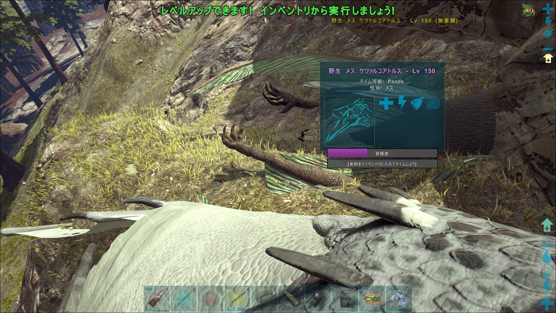 魅惑色のぱんだ Ark Lv150ケツァルテイムなうです だがしかし 等倍に戻りました ｑ これはちょっと残念ですがキブルと必要な麻酔薬ぶっこんで放置ですね W 死んじゃったりテイム失敗したりは仕方なし ﾟ ﾉd ﾟ タイミングちょー