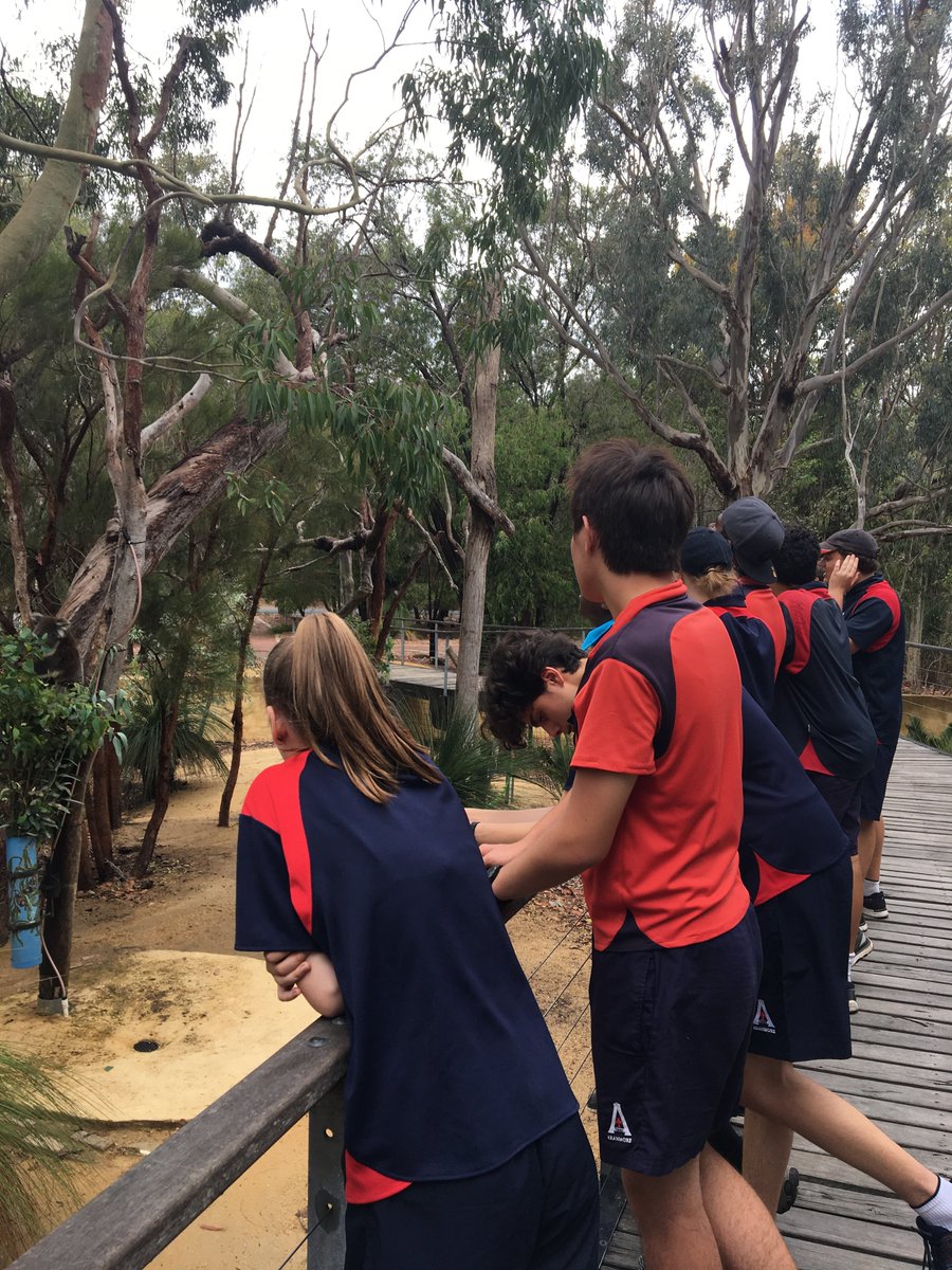 #yr9engageweek Day 2 Yanchep Group.  Luckily no wet socks.