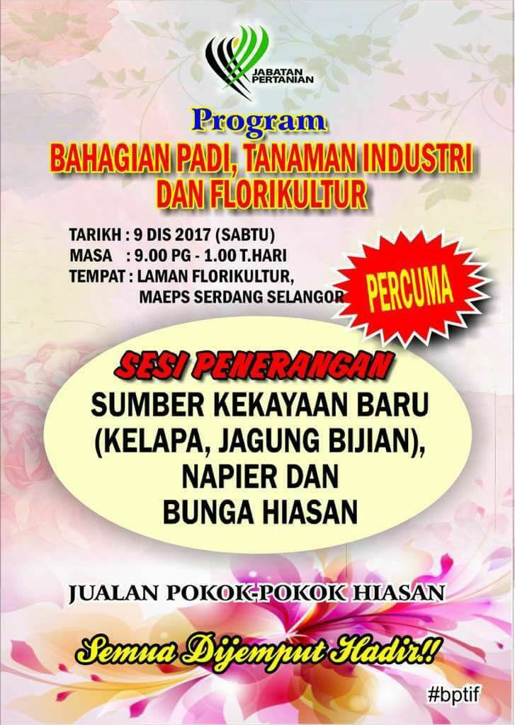 maepsserdang's tweet photo. Siapa yang free 9/12 SABTU ni?? Jom datang ke Laman Florikultur, Maeps Serdang !! Sesi penerangan Sumber Kekayaan Baharu (Kelapa, Jagung Bijan, Napier &amp; Bunga Hiasan). Dari 9.00 pagi hingga 1 tghari. Jangan lepaskan peluang !! #jabatanpertanianmalaysia #jomcutimaeps2017 https://t.co/yHW14IzFQO