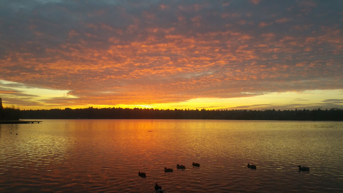 GreenlakeBoats's tweet photo. What a wonderful way to start the week! #Sunset #GreenLake #Seattle 36° https://t.co/61iCRKcMrG