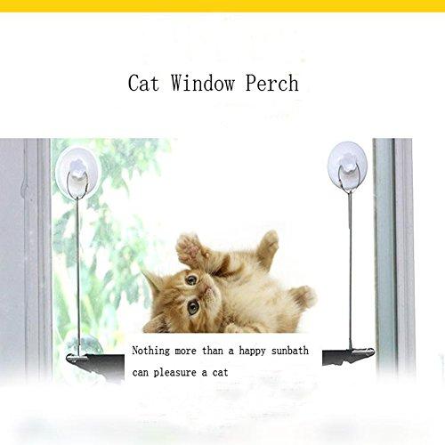 lovecat247's tweet photo. Cat Window Perch - Durable...
See here=> https://t.co/d0vXl0Q5a6
#petsupplies #ilovemycat #pet #catfood #catWindowPerches #OTGala6 https://t.co/BThUJ5RNxO