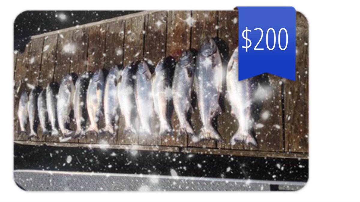 SkysGuide's tweet image. #GiftCards available for salmon, Steelhead, sturgeon #fishing crabbing #Oregon #fishingtrip (503)799-3757 #Astoria #OregonCoast #Portland