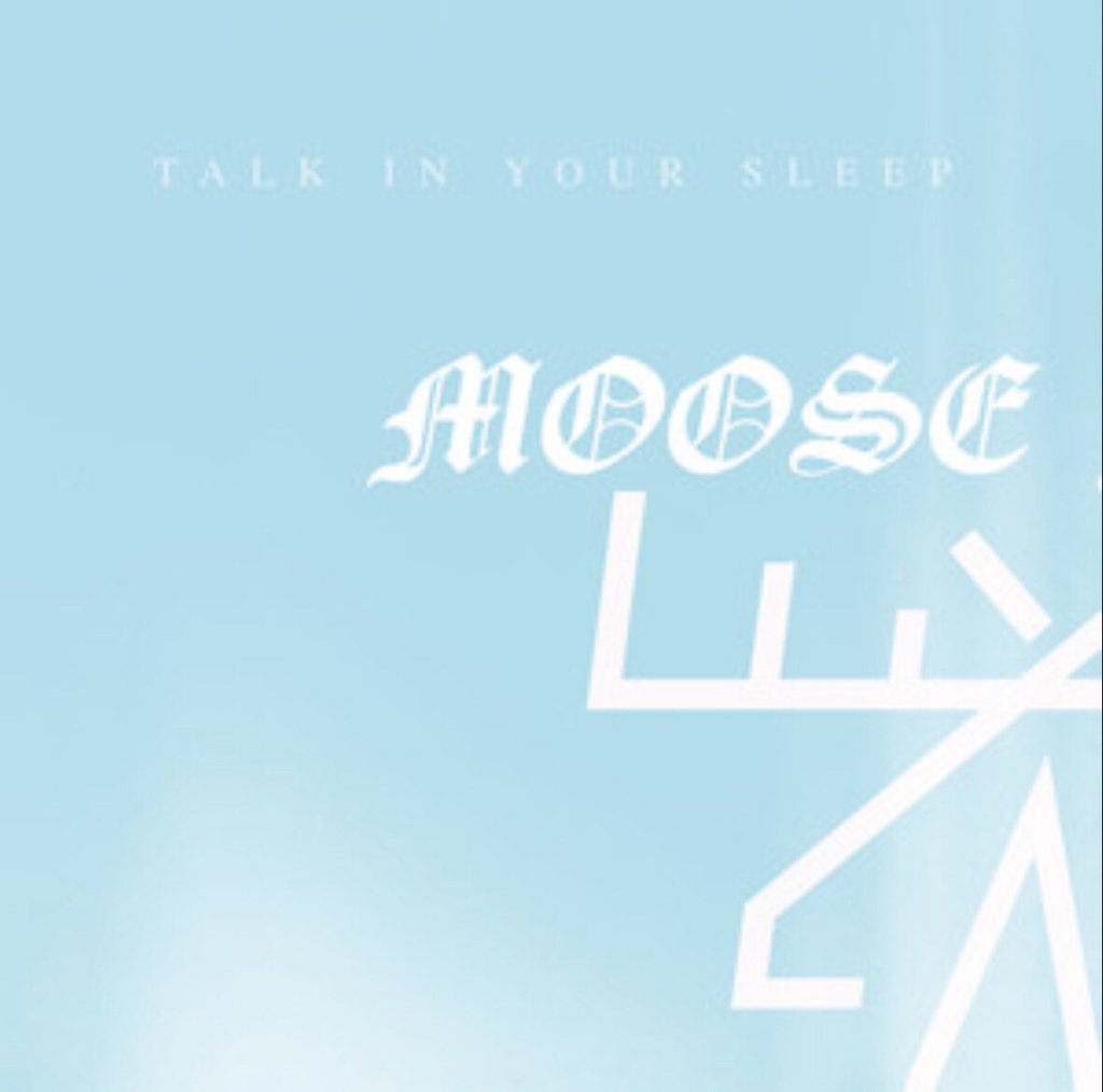 Check Out The New Moose Blood Video Here noiseflashmusic.com/2017/12/05/che…