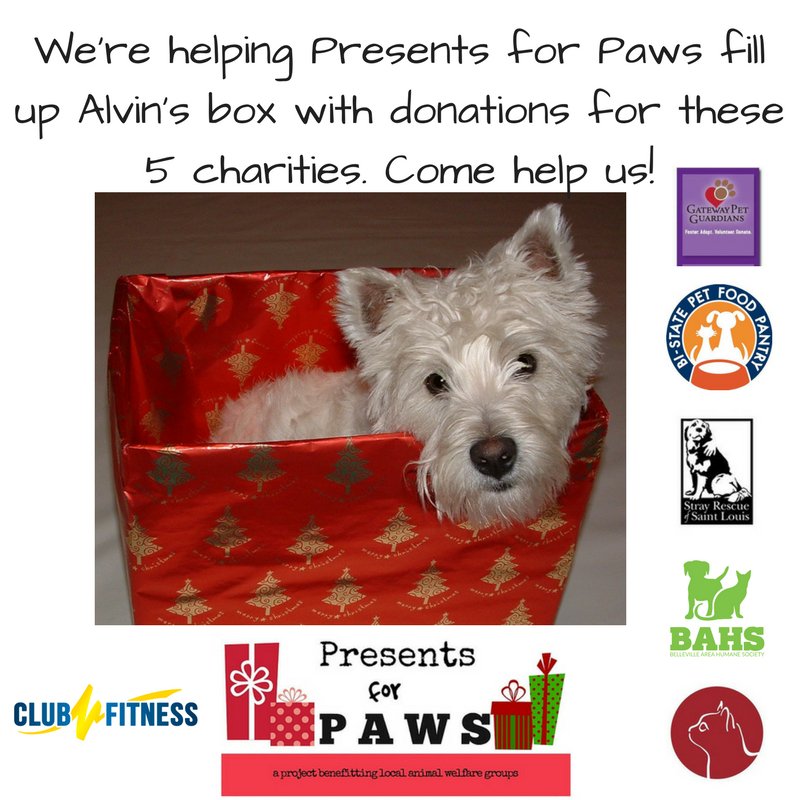 RuHawk1's tweet photo. Thank you @ClubFitness for participating in #PresentsForPaws #Donate at any of their 24 locations! #AnimalWelfare https://t.co/GjxJwKHVXW https://t.co/7H6k2rRDoc
