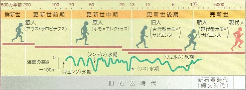 世界の歴史まっぷ V Twitter 日本列島と日本人 T Co Kzzv4o46ok 人類は 猿人 600万 170万年前 原人 170万 万年前 旧人 万 3万年前 新人 15万年前以降 という進化を経てきた