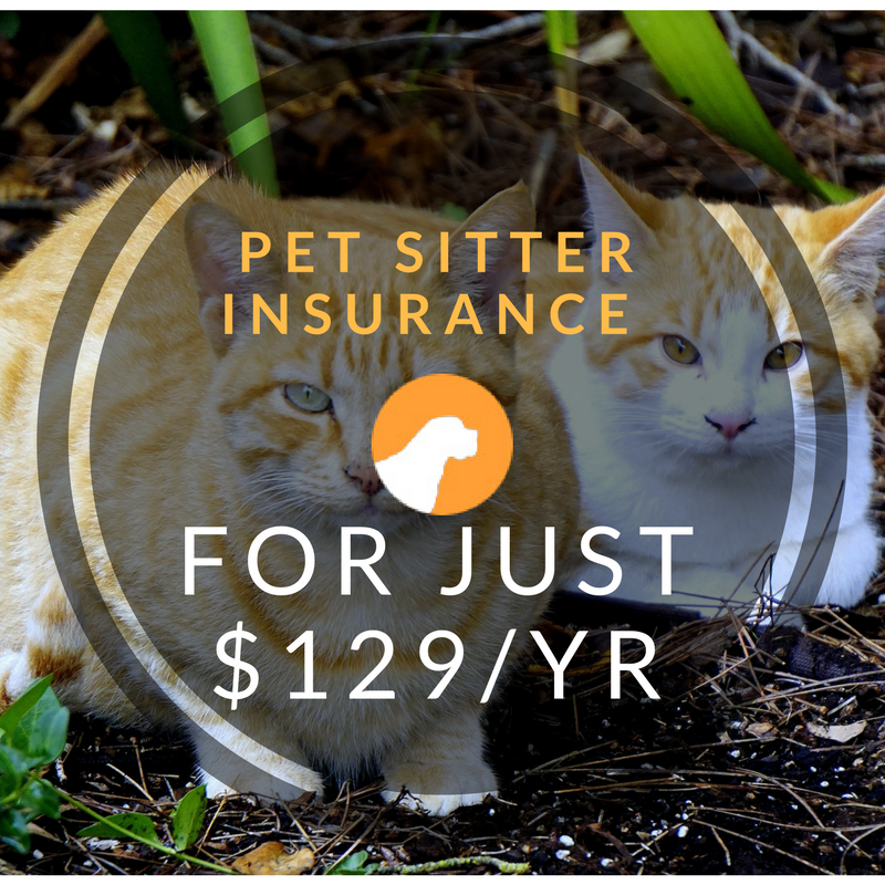 petcareins's tweet photo. Get insurance for your business for just $129 per year!
#petsittersofinstagram
#petsittinglife
#petsitterlife
#petsitter
#petsitters
#petsitterdiaries https://t.co/JcCDUy6r8K