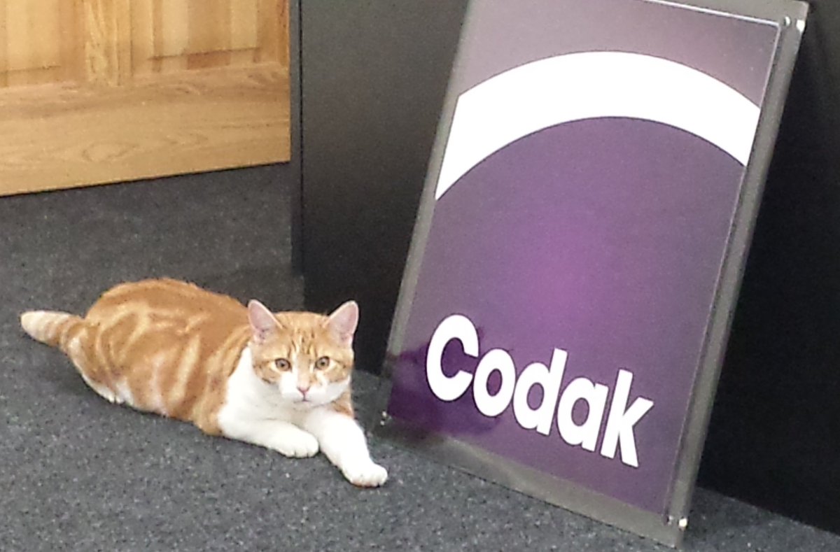 EventBoss2's tweet image. Your partner in IT.