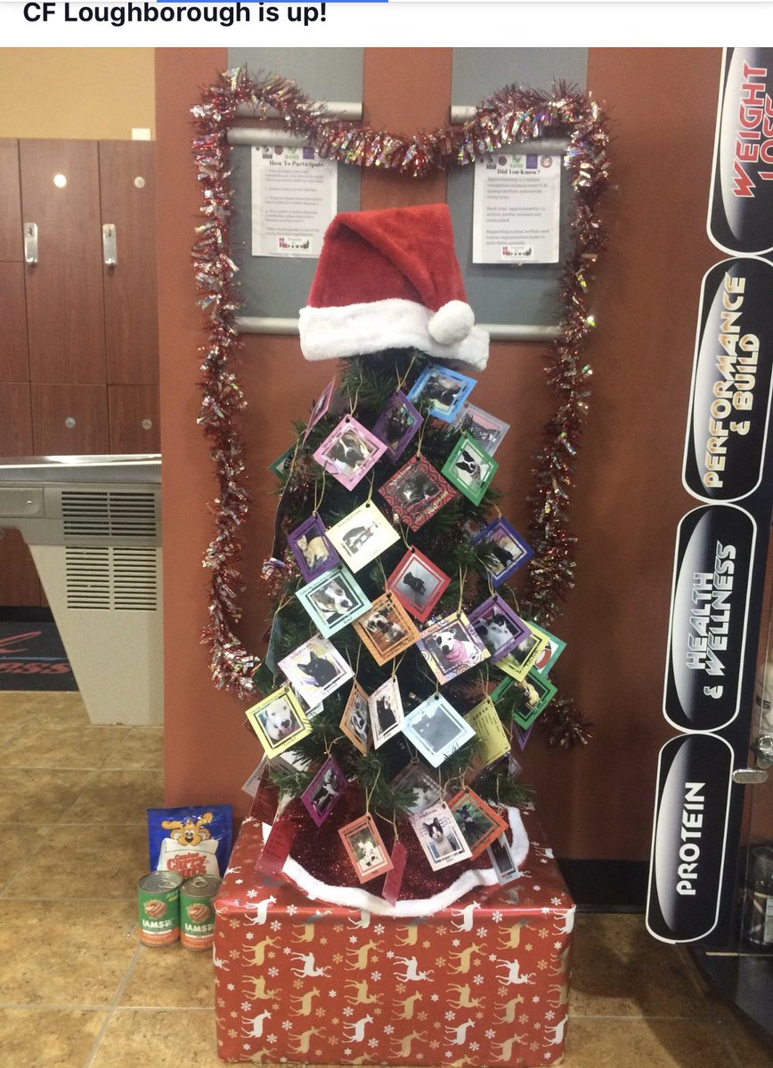 RuHawk1's tweet photo. Love seeing all the trees around town @ClubFitness for #PresentsForPaws helps @StrayRescue @AnimalHouseCats @STLpetpantry @gatewaypets @BAHSPets https://t.co/EkXeChVHFq