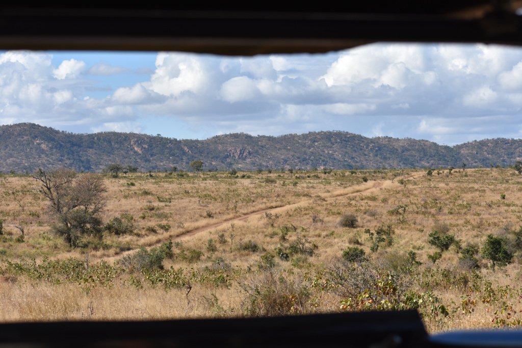BackpackSocial's tweet photo. My Time in Kruger National Park -A walk (ride) among the animals https://t.co/HNR3CF8h4Q https://t.co/njD5QbHv0p