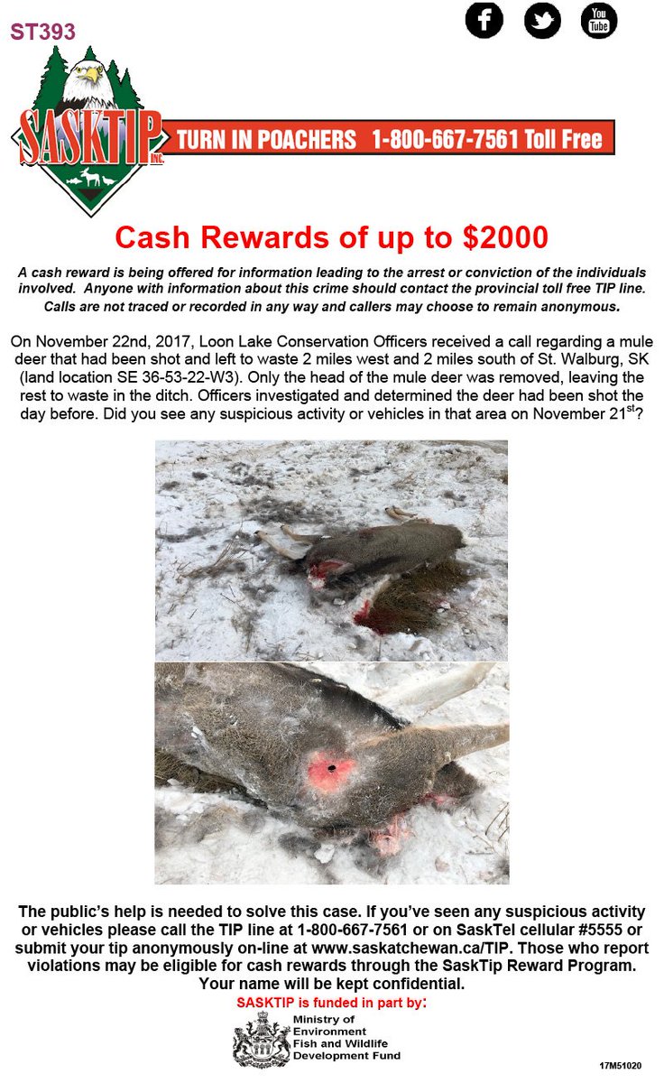 Sasktip's tweet image. Check out the latest unsolved cases from around the province and see if you can help! If you have any info call the TIP line 1-800-667-7561 or #5555 from a Sasktel cellphone. Or report online at saskatchewan.ca/tip