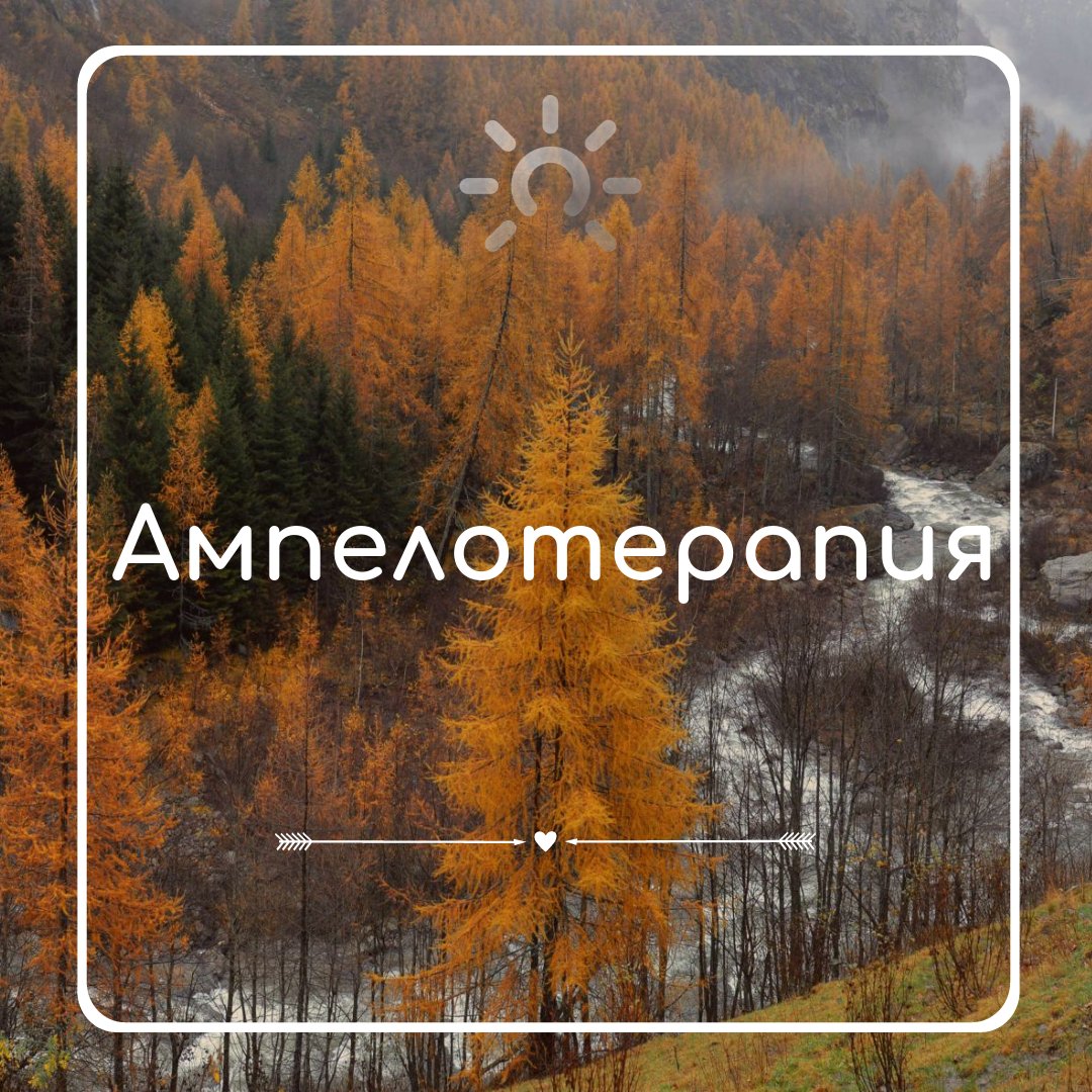 SamopoznanieRu's tweet photo. Ампелотерапия 🍇🍇🍇🍇🍇🍇🍇🍇🍇🍇🍇
👉https://t.co/UN9N652QKb
#ампелотерапия #Лечениевиноградом #Лечениевиноградом #Винолечение #Винотерапия #Ampelotherapy #Grapecure #самопознание #самопознаниеру #самопознаниеru #samopoznanieru #москва https://t.co/DzqaXX7Mnf