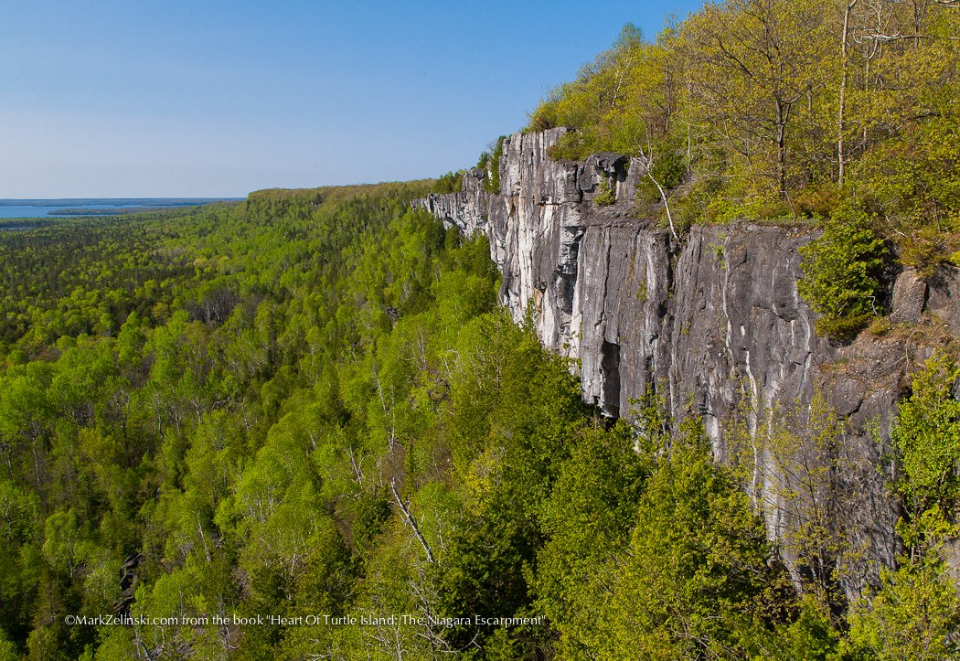 Mark Zelinski On Twitter Heartofturtleisland Book By