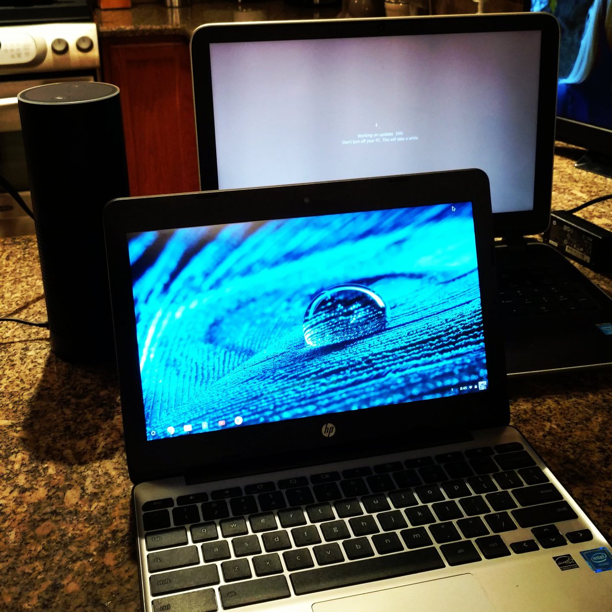 TheTrueJeanette's tweet image. Gotta love when the computer decides it needs to do a 1+ hour update in the middle of a project...
👌🙄🔥

#computerfail
#internetfail
#whymicrosoftwhy 
#itsgoingtobealatenight