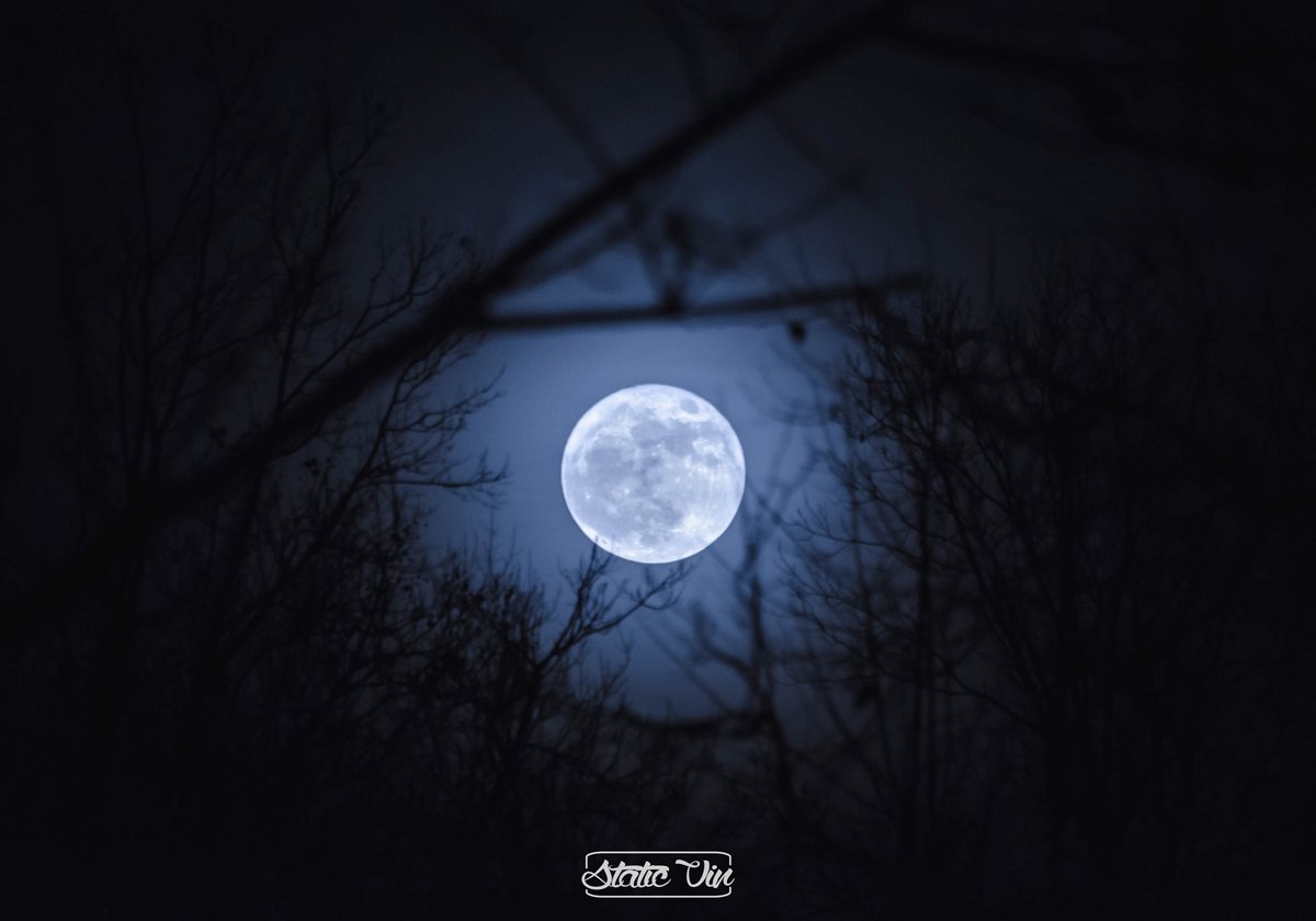 static_vin's tweet image. 🌝