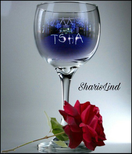 #TeamSharis #F4F #RT2G 
<a href="/SharisLind/">Alisha #TSha ⛄️</a> <a href="/marssenior/">MARS Publicidad C.A.</a> <a href="/carolinav_gz4/">🦋C🐬A🍃R🌼O🌸L💗♏️</a> <a href="/ANGELICAMYS/">ANGELICA M GUTIERREZ</a> <a href="/El_Gibaa/">El Gibaa</a> <a href="/VValcuende/">💗🇻 .🇦.🇳.🇪.🇸.🇦</a> <a href="/ferm_16/">F♡e♡r♡n♡a♡n♡d♡a #MGWV</a> <a href="/AmirisMichel/">₳ℳΙ₹Ι₷ Τεα₥₭₹ι₷₷  😘</a> @doctagaby @lucasAle45 @IngNavMassimo <a href="/AlexAngelMont17/">🌟Alex Angel 🐦👼#TSha 🌟</a> @Mercedhoy <a href="/insaurraldeh/">⭐POLI⭐ #MGWV⭐</a> <a href="/GFBS17/">👦#Gust `s TFBS</a> <a href="/PrincessMajix/">🌹Ivy</a>