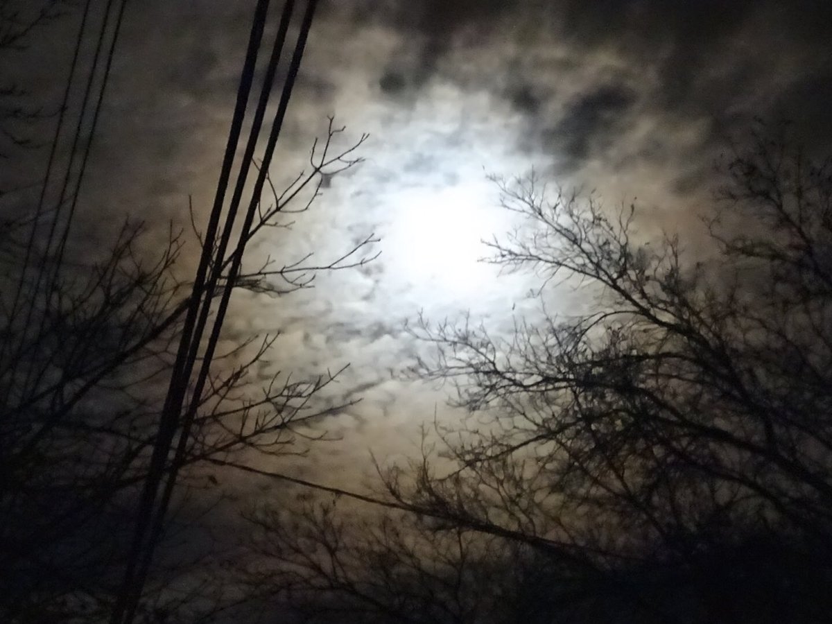 vemckeown's tweet photo. Tyler with the sick moon shots 🌙💫 https://t.co/JTyWDXBM5B