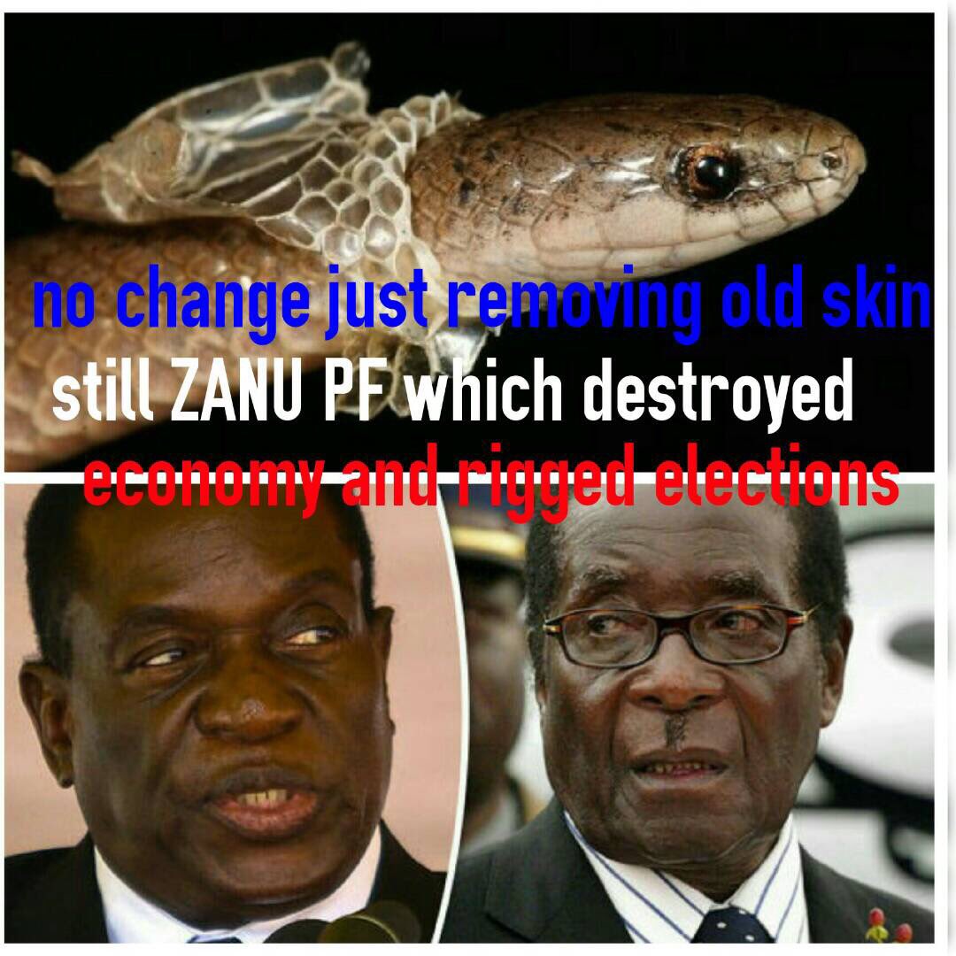 Zwelinzima1's tweet photo. Same old snake! https://t.co/l1WgenwTWQ