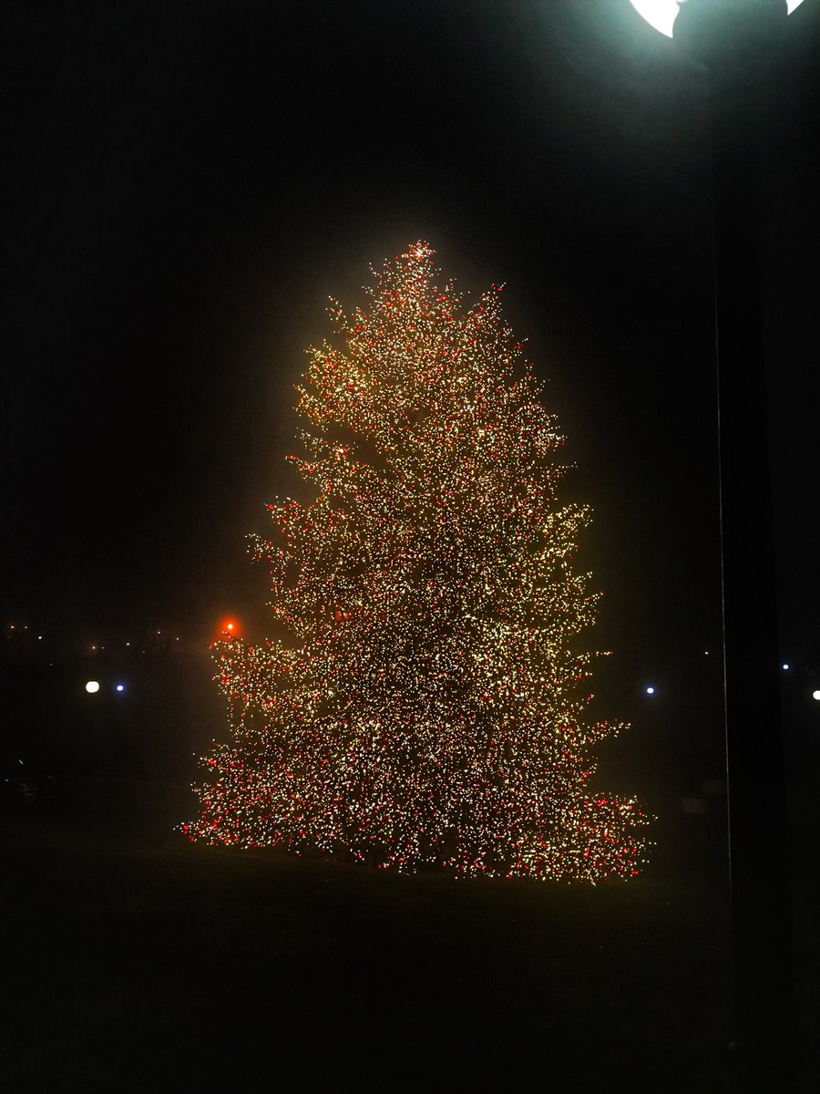 Scheeatow's tweet photo. The beauty of my campus at night. #christmaslights #christmas #christmastree @Marist #poughkeepsie #ducthesscounty #ILoveNY #happyholidays https://t.co/VIIAllw6lC