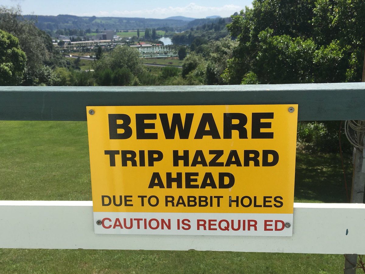 nicovolc's tweet photo. Alice in Wonderland meets H&S at work. #nzproblems #rurallife #scientistsinthewild https://t.co/Xi7i2KCIfj