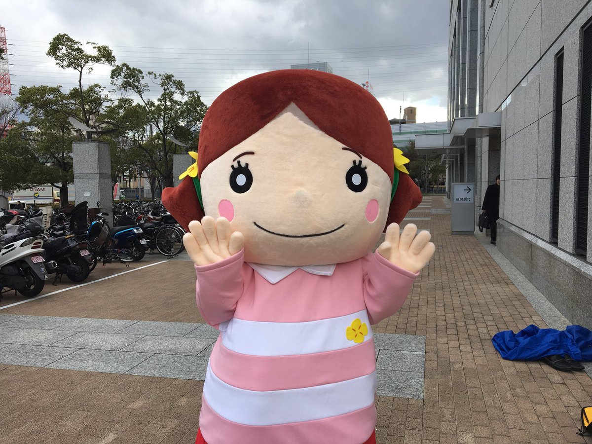 はなちゃん 非売品】貴重 最近10年の歩み はなちゃん 貴重【非売品】最近10年の