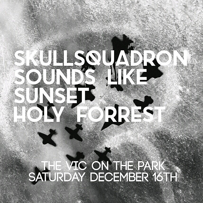 skullsquadron_'s tweet photo. Fuck yeah! @skullsquadron_ + @SunsetVolcano + Holy Forrest play @viconthepark Sat. Dec 16th #shoegaze #pedals #wallofnoise #skullsquadron #jazzmaster #soundslikesunset #delay #reverb #crunch #bass #echo #holyforrest #dreampop https://t.co/uaRAcoAyHs