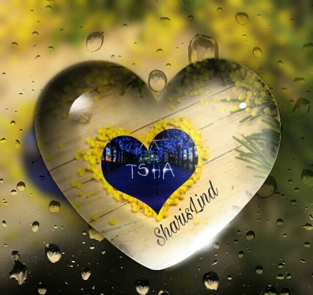 #TeamSharis #F4F #RT2G 
<a href="/SharisLind/">Alisha #TSha ⛄️</a> 💯 
<a href="/marssenior/">MARS Publicidad C.A.</a> 💯 
<a href="/carolinav_gz4/">🦋C🐬A🍃R🌼O🌸L💗♏️</a> 💯 
<a href="/ANGELICAMYS/">ANGELICA M GUTIERREZ</a> 💯 
<a href="/El_Gibaa/">El Gibaa</a> 💯 
<a href="/VValcuende/">💗🇻 .🇦.🇳.🇪.🇸.🇦</a> 💯 
<a href="/ferm_16/">F♡e♡r♡n♡a♡n♡d♡a #MGWV</a> 💯 
<a href="/AmirisMichel/">₳ℳΙ₹Ι₷ Τεα₥₭₹ι₷₷  😘</a> 💯 
@doctagaby 💯 
@lucasAle45 💯 
@IngNavMassimo 💯 
<a href="/AlexAngelMont17/">🌟Alex Angel 🐦👼#TSha 🌟</a> 💯 
@Mercedhoy 💯 
<a href="/insaurraldeh/">⭐POLI⭐ #MGWV⭐</a> 💯 
<a href="/GFBS17/">👦#Gust `s TFBS</a> 💯