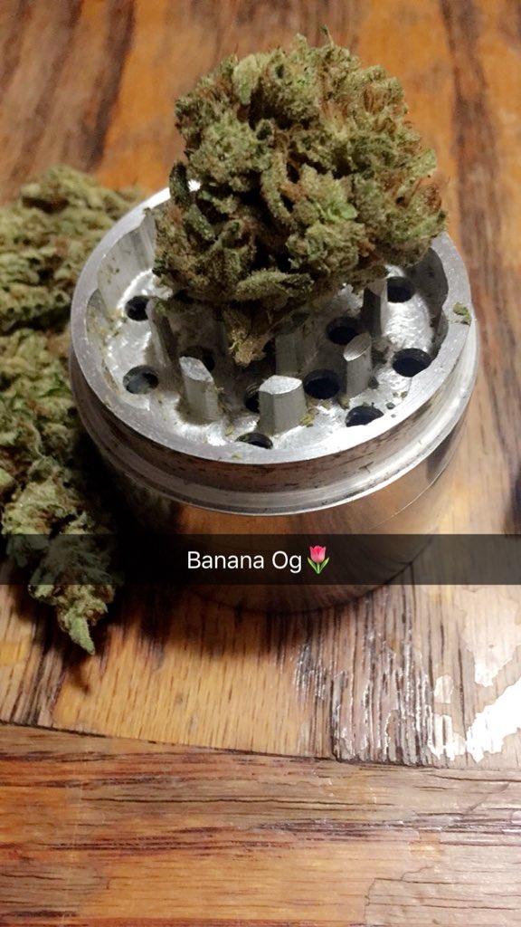 photoso916's tweet photo. Banana Og🌷 
#medicalmarijuana #weed #cannabis #marijuana #bananaog #og #orbid #goodstuff #positivevibes https://t.co/XgCMQ2LD0l