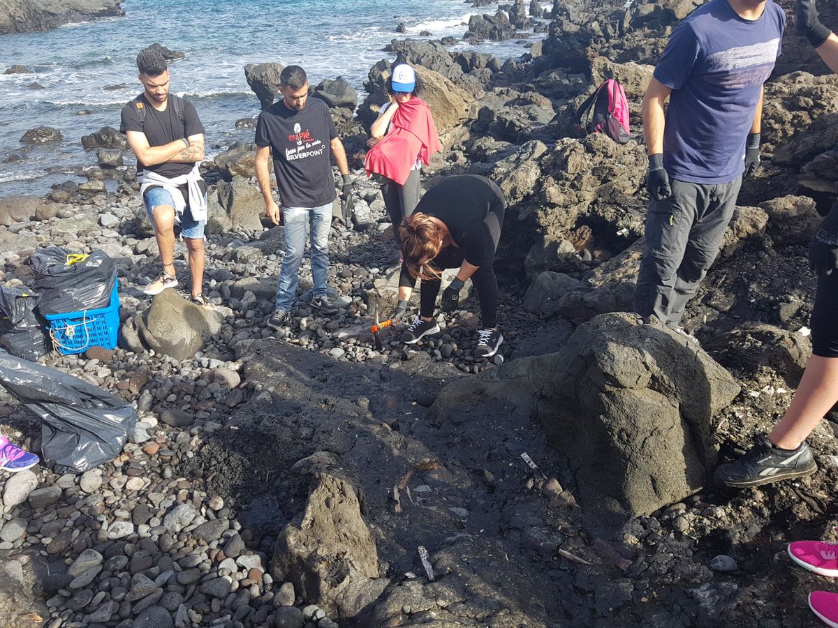 #dri #charityday #dritechsavvy cleaning beaches