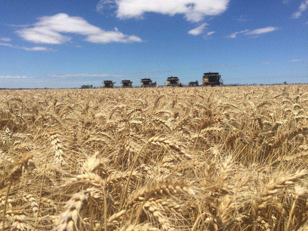 Harvest done. Blessed with another cracker season Thanks to all family staff and business to make 2017 rewarding.