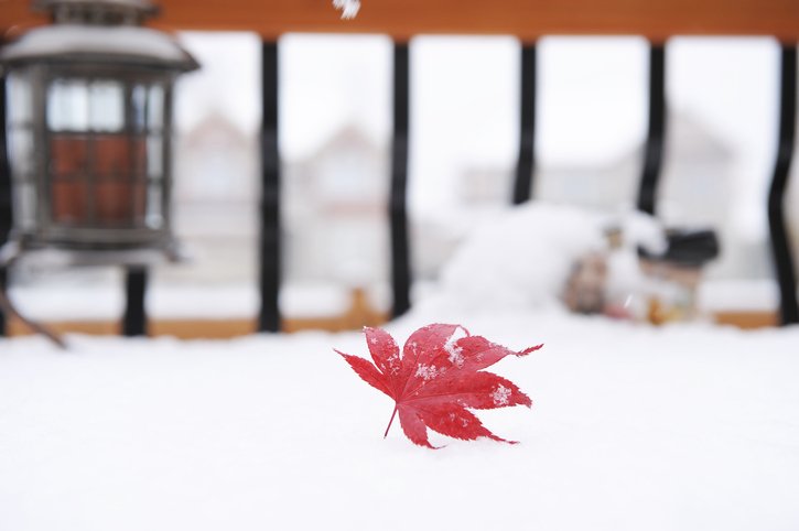 What will winter 2018 be like in Canada? bit.ly/2ilJbz1 https://t.co/Maf2zvitmF