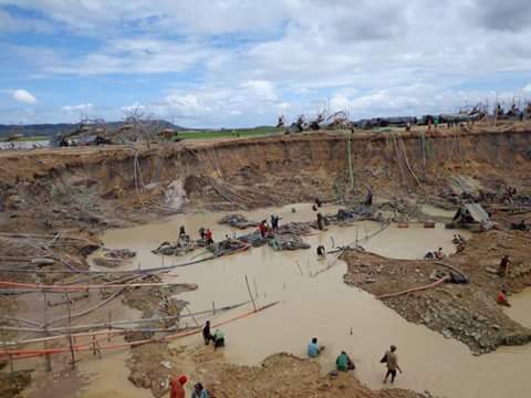 La desforestación en Venezuela es de la mas altas  de LA. La minería y aun mas la megaminería del arco minero  anulan cualquier intento de reforestación como la de la Misión Arbol. El ARCO MINERO agravara la situación.
NO a la MEGAMINERÍA.