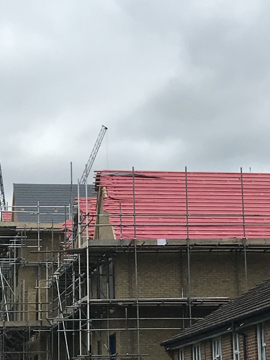 Daniel Weait marley tweet media