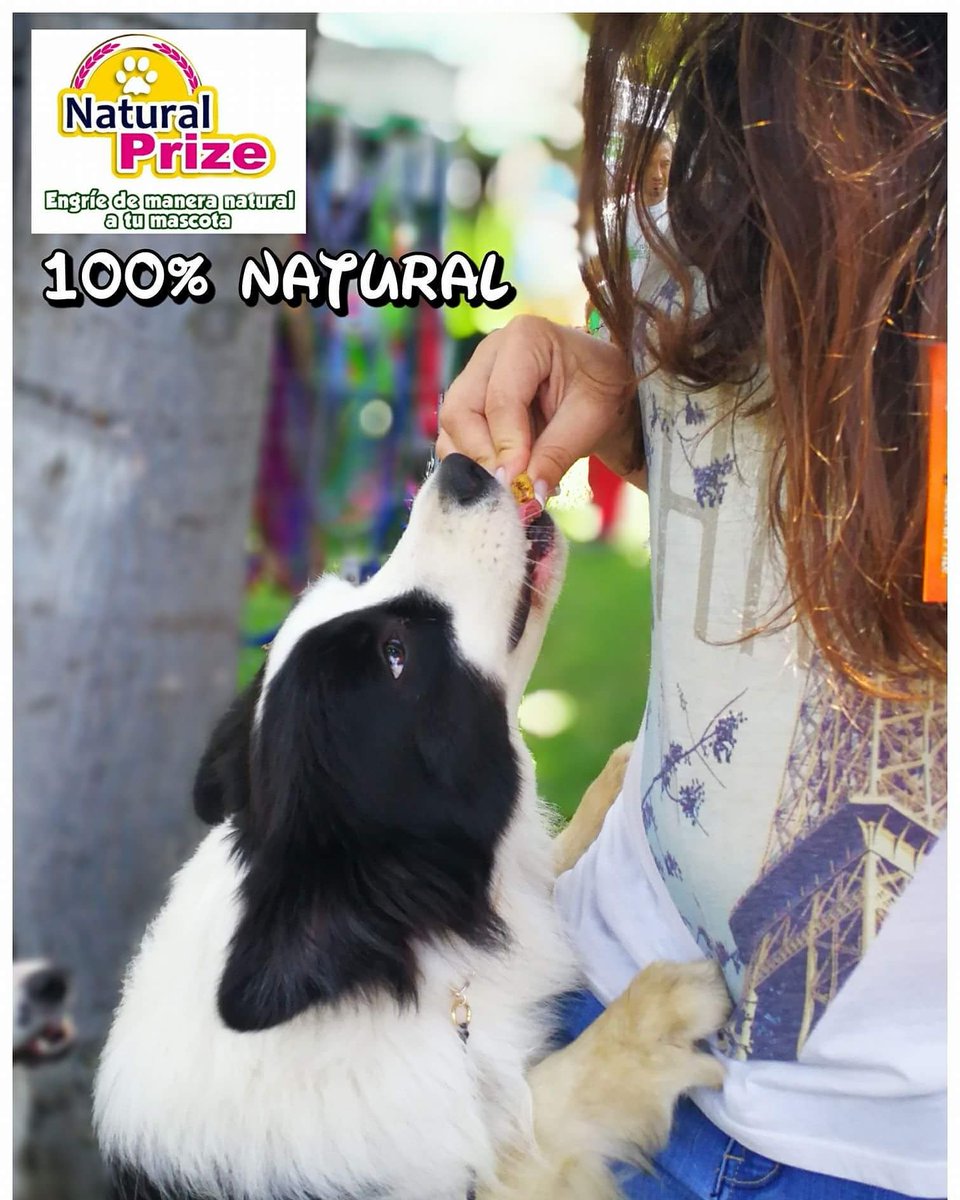Natural_Prize's tweet photo. @Natural_Prize 🌟 encuentranos en la @FeriaNavidad  @PuppyTel_Peru @ https://t.co/mGd9HEsWAk