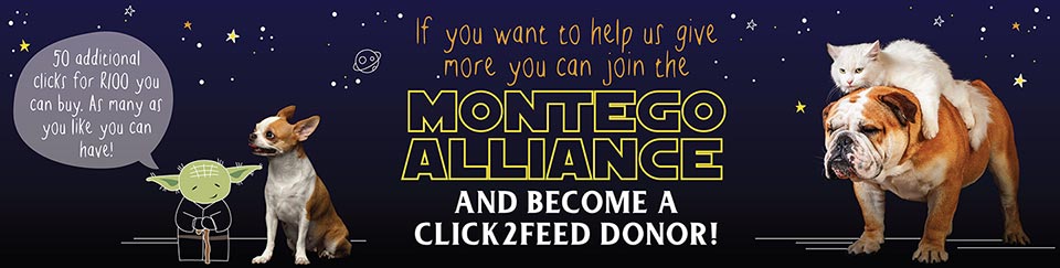 dargdays's tweet image. Start clicking!!! montego.co.za/click-to-feed-…
WE 💙@Montegopets 
#dargdays #charitytuesday