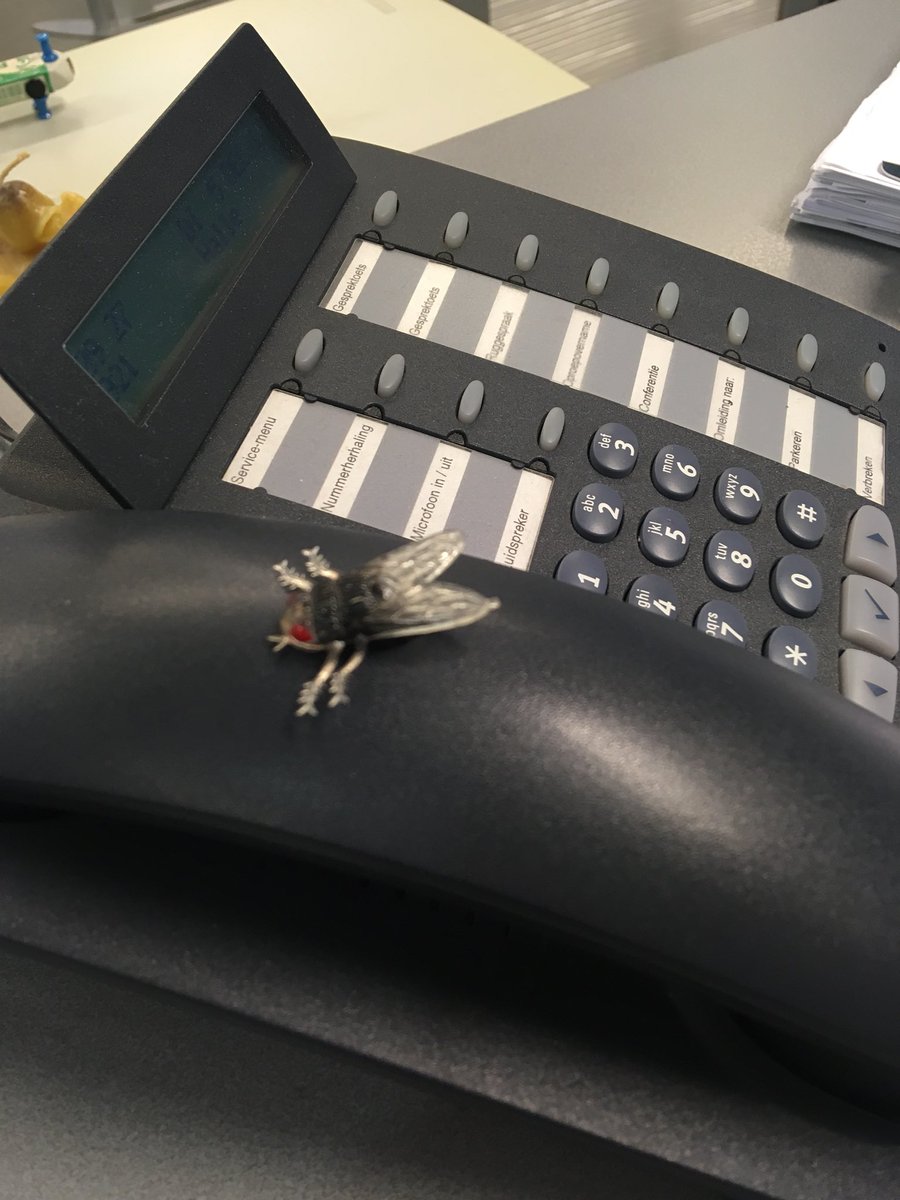 jokegraser's tweet photo. De digitale vlieg van VDAB Halle #digitaledoedag https://t.co/Vmag4y8Bnx