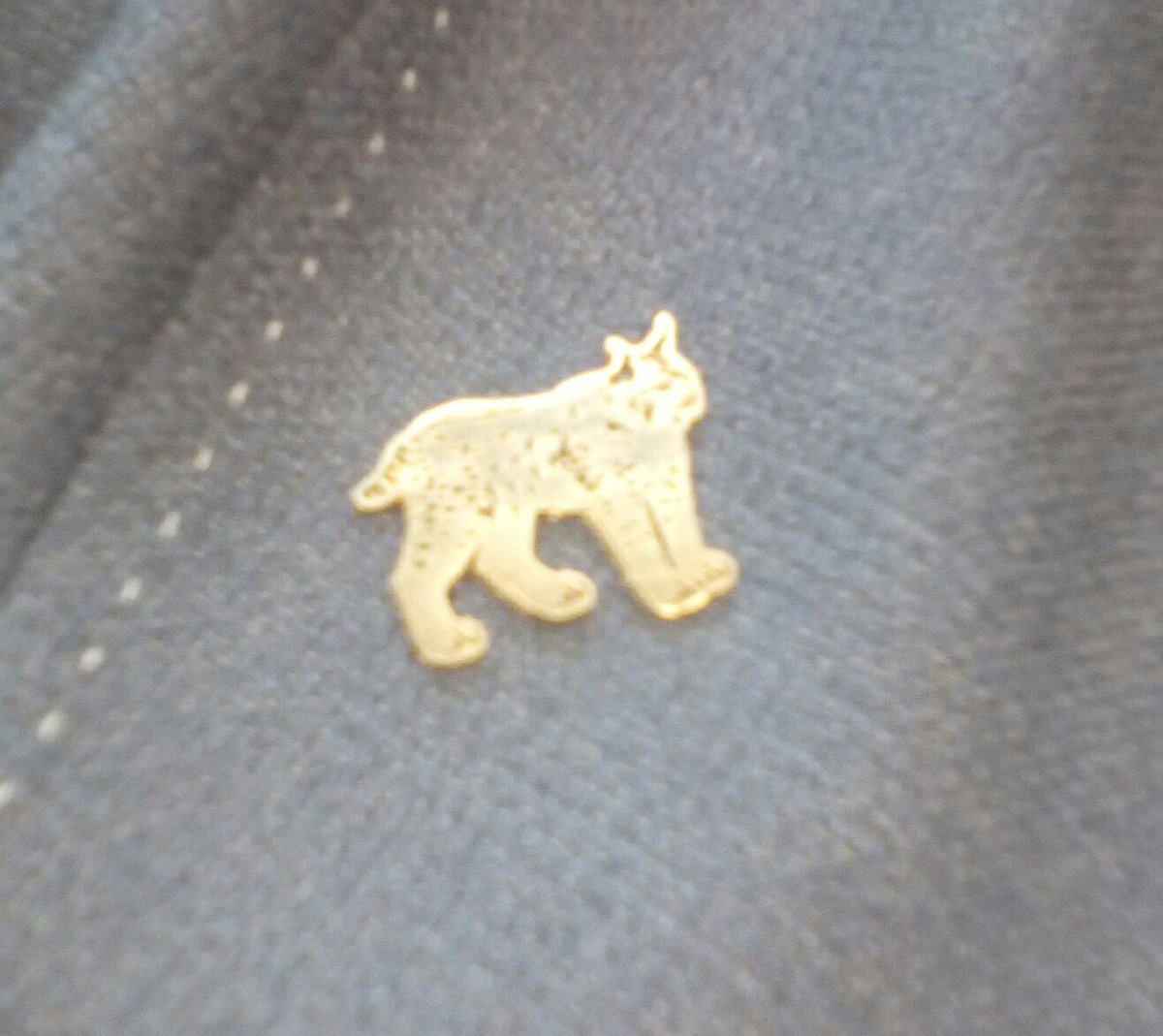 Important day for the #Balkan #lynx @ #BernConvention meeting in #Strasbourg 
Everybody is wearing the pin!
