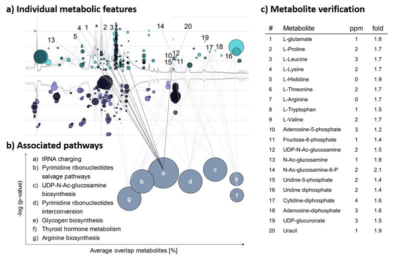 Metabolomics tweet media