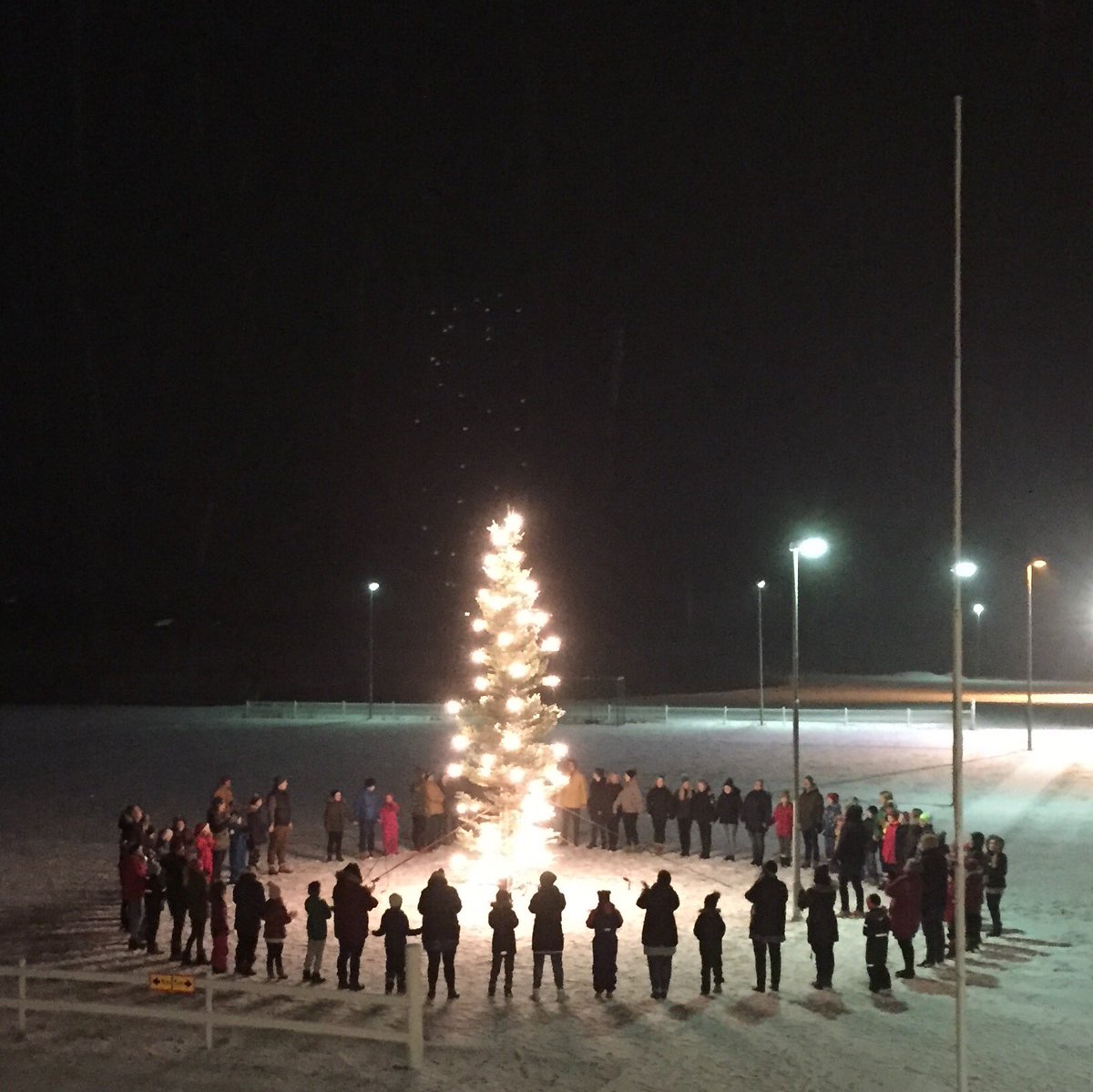 Ljósin tendruð á skólatrénu.